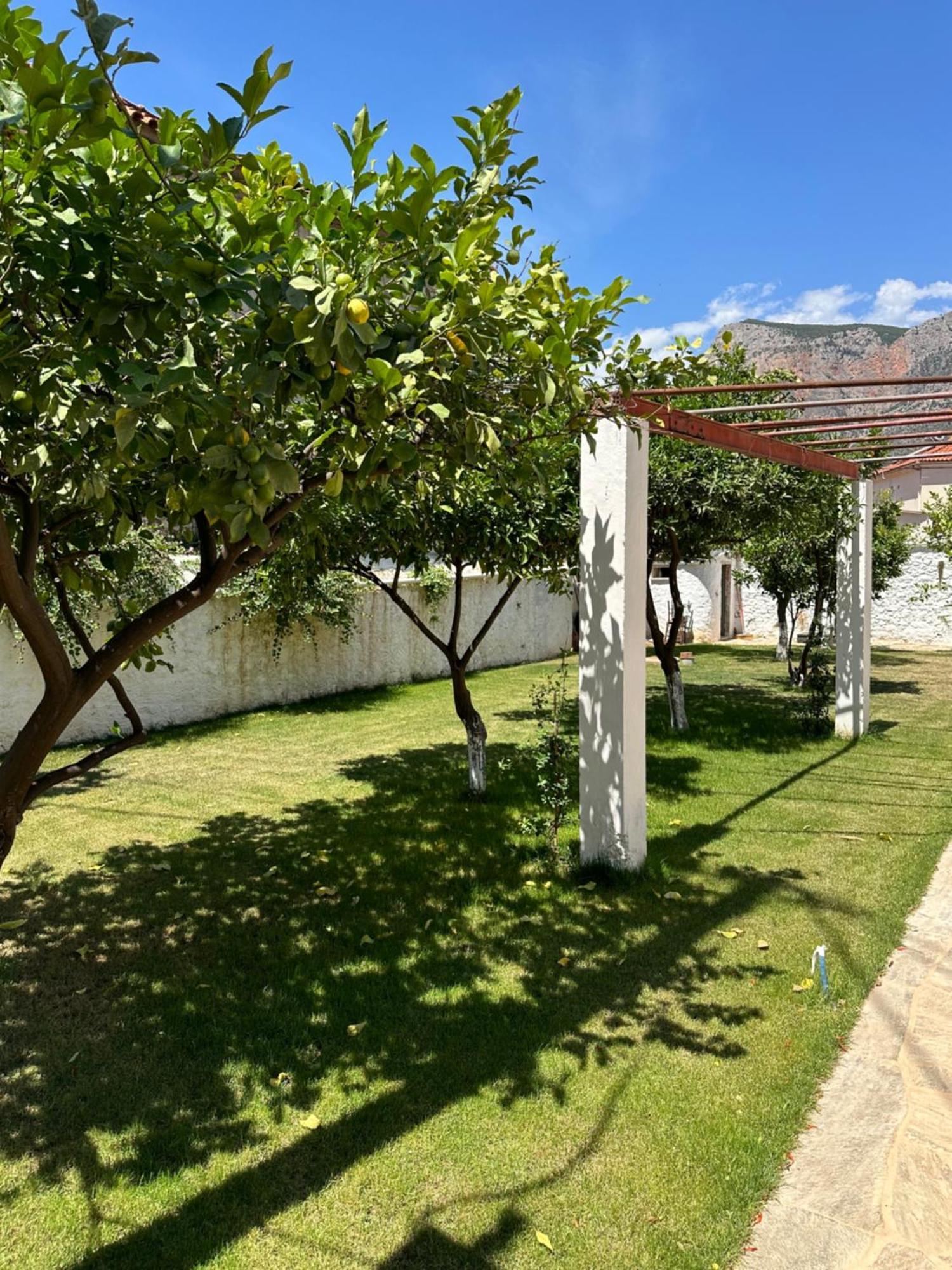 فيلا Alexander House 2 ليونِذيو المظهر الخارجي الصورة