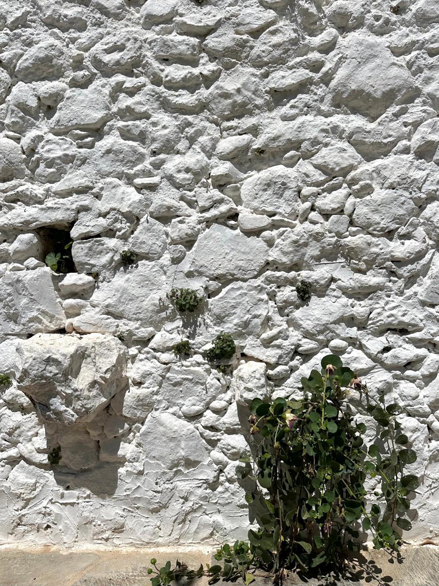 فيلا Alexander House 2 ليونِذيو المظهر الخارجي الصورة